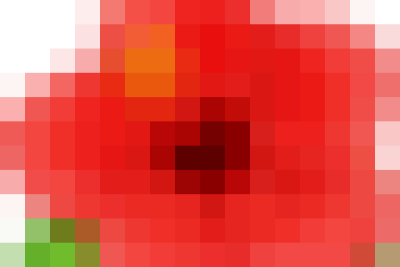 ​ HOẠT ĐỘNG CHÀO MỪNG NGÀY NHÀ GIÁO VIỆT NAM 20/11 TẠI TRƯỜNG TIỂU HỌC YÊN BÌNH ​