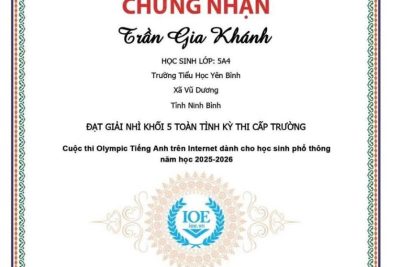​ VINH DANH HỌC SINH ĐẠT GIẢI IOE VÒNG CẤP TRƯỜNG ​